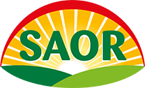 Saor