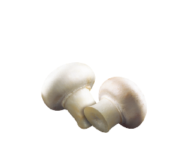 Champignon grigliati