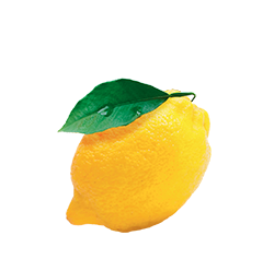 Marmellata di limone
