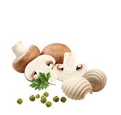 Mushrooms-Green-Peppercorn