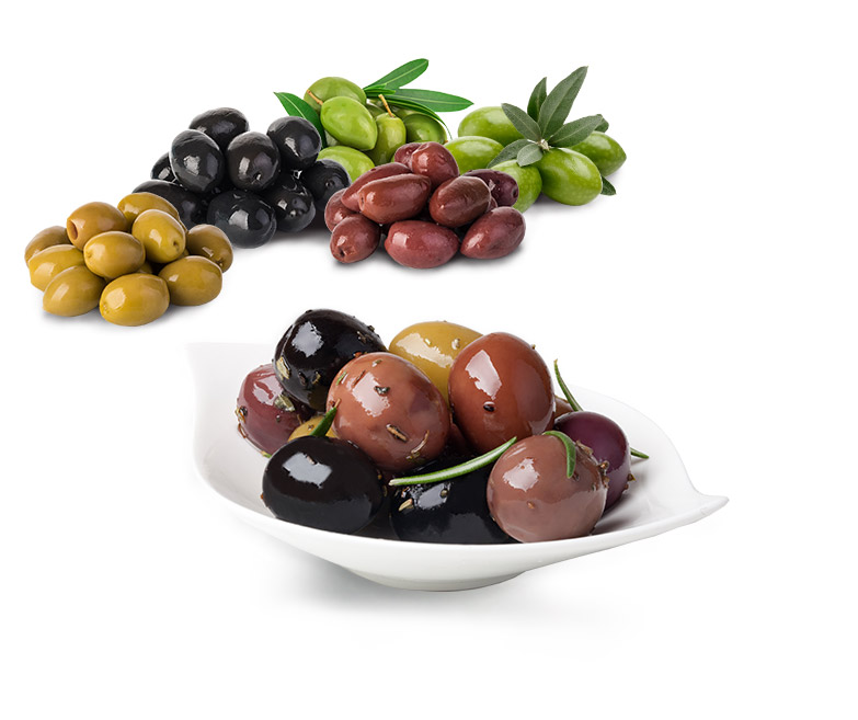 Olive Italiane